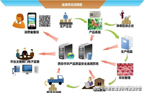 智慧農(nóng)業(yè)與電子商務(wù)技術(shù) 推動(dòng)農(nóng)業(yè)現(xiàn)代化的雙引擎